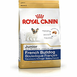 Friandise pour chien Royal Canin