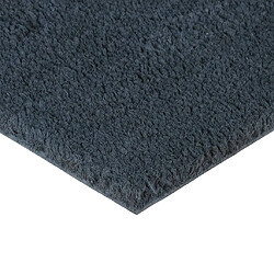 Avis vidaXL Tapis de porte 5 pcs gris foncé 40x60 cm fibre de coco touffeté