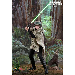 Avis Hot Toys MMS516 - Star Wars 6 : Return Of The Jedi - Luke Skywalker Endor Suit Version