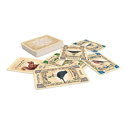 Avis Lookout Games - 22160098 - Little Songbirds - Jeu de Cartes - La Famille de Matt Riddle et Ben Pinchback Beige