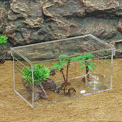 terrarium tortue terrestre pour tortue reptile pas cher