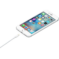 Acheter Apple Câble lightning USB 2m