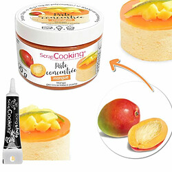 Scrapcooking Pâte de fruits concentrée 30 g mangue + Stylo de glaçage noir