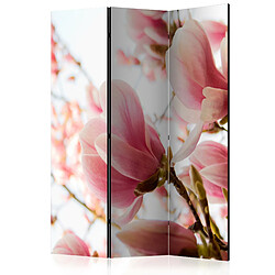 Artgeist Paravent - Pink magnolia [Room Dividers] [135x172]