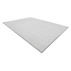 Avis RUGSX TAPIS - MOQUETTE CASHMERE argent 152 plaine 100x150 cm