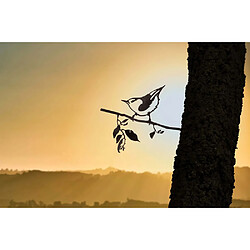 Avis Metalbird Oiseau sur pique sittelle en acier corten.