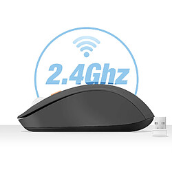 Acheter LinQ Souris Sans Fil Bluetooth ou WiFi 2.4Ghz Précision et Confort Noir