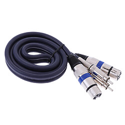 Acheter double câble femelle xlr à mâle rca 2 xlr à 2 prise rca câble audio 1m