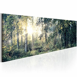 Paris Prix Tableau Imprimé Morning Magic 40 x 120 cm