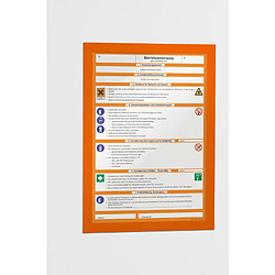 DURABLE Cadre d'affichage magnétique DURAFRAME, A4, orange ()