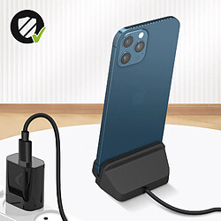 Acheter Avizar Dock de Charge Connecteur Lightning Charge Rapide et Synchronisation Noir