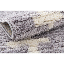 Acheter Hadorn Tapis shaggy 305x80 gris Frauenfeld Rood