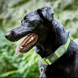 Collier pour Chien Hunter Vario Plus Fils Taille L Citron (40-60 cm)