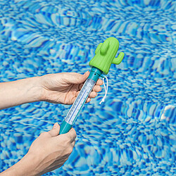 Avis Bestway Thermomètre Cactus Flottant Piscine et Baignoire 58763