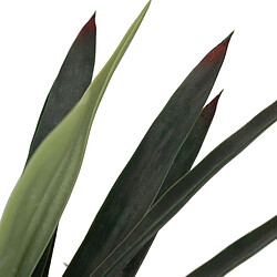 Avis BigBuy Home Plante décorative Caoutchouc polypropylène yucca 40 x 40 x 125 cm