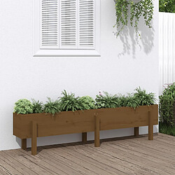 Maison Chic Jardinière,Lit surélevé de jardin - Bac à fleurs - pot de fleur marron miel 160x30x38 bois de pin massif -GKD57849