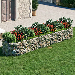 Maison Chic Jardinière,Lit surélevé - Bac à fleurs - pot de fleur à gabion Fer galvanisé 400x100x50 cm -GKD14170