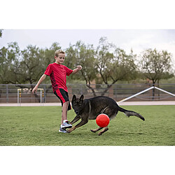 Jolly Pets Ballon de Foot de 20,3 cm