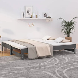 vidaXL Lit coulissant sans matelas gris 2x(90x200) cm 