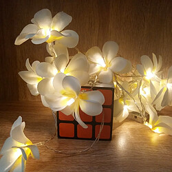 Wewoo Guirlande LED 1.5 m 10 batterie alimenté blanc chaud créatif bricolage frangipanier lumineuse guirlandes florales éclairage fête événement chambre décoration