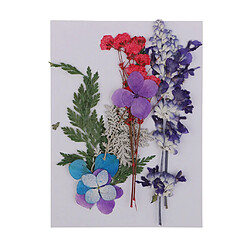 Lot de 3 Vraies Fleurs Séchées de Fleurs Pressées pour Artisanat Scrapbooking Résine Jewelr Faisant à La Main Des Fleurs Séchées étui de Téléphone