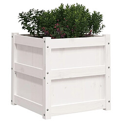 Acheter Maison Chic Lot de 2 Jardinières,Bac à fleurs - pot de fleur blanc bois de pin massif -GKD56622