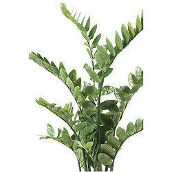 Emerald Zamioculcas artificiel Vert 110 cm 11.662C