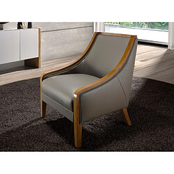 Avis Angel Cerda Fauteuil en cuir gris