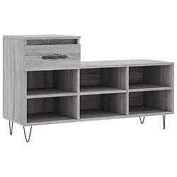 Maison Chic Armoire à Chaussures,Meuble de Rangement à Chaussures Sonoma gris 102x36x60 cm Bois d'ingénierie -MN76245