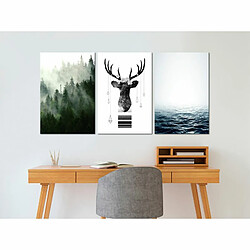 Paris Prix Tableau Imprimé Chilly Nature Collection 30 x 60 cm