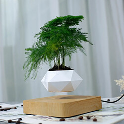 Wewoo Diamant En Plastique Pot De Fleur + Lumière Bois Grain Base Lévitation Magnétique Plante Décoration de La Maison pas cher