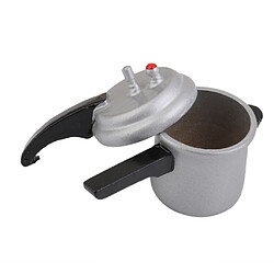 Acheter Pressure Cooker Miniature