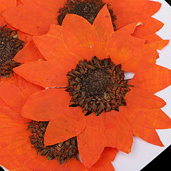 6 pièces naturelles vraies fleurs tournesol fleur séchée bricolage artisanat orange