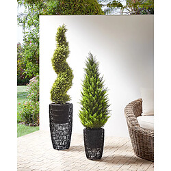 Beliani Lot de 2 pots de fleurs CHELONE Polyrotin Noir