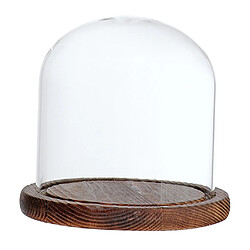 Acheter Cloche à Dôme En Verre Avec Socle En Bois, Support Pour Paysage De Fleurs, Brun E