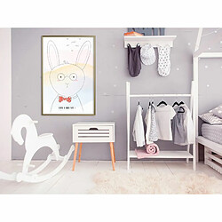 Paris Prix Affiche Murale Encadrée Polite Bunny 40 x 60 cm Or