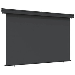 vidaXL Auvent latéral de balcon 175x250 cm noir