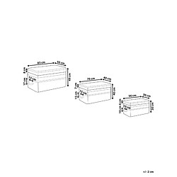 Avis Beliani Lot de 3 boîtes en rotin clair GERASA