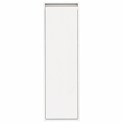 Acheter vidaXL Armoires murales 2 pcs Blanc 30x30x100 cm Bois de pin massif