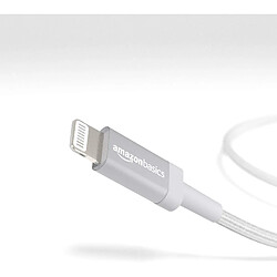 Avis Basics Câble USB A vers Lightning 91.2 cm