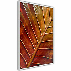 Paris Prix Affiche Murale Encadrée Bronze Leaf 20 x 30 cm Blanc