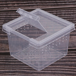 40pcs En Plastique Transparent Insecte Araignée élevage Contenant De La Boîte D'alimentation Vide pas cher