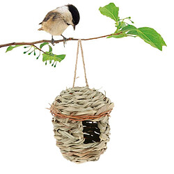 Avis Naturel Hanging Nest Pet Bird House Hatch Perroquet Rest Hut Ampoule Moyenne