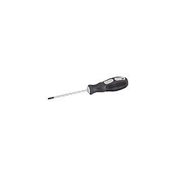 Tournevis à usage général Torx T15 x Lu 100 mm - 244377 - Silverline