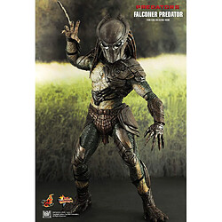 Avis Hot Toys MMS137 - Predators - Falconer Predator