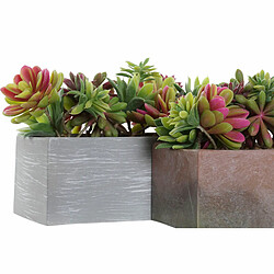 Plante décorative DKD Home Decor Gris Marron Multicouleur EVA PE (23,5 x 11 x 14,5 cm) (2 Unités)