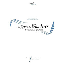 La figure du Wanderer : l'errance en question