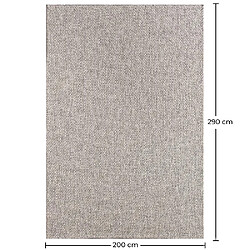 ICONIK INTERIOR Tapis - (290x200 cm) - Lipa Beige