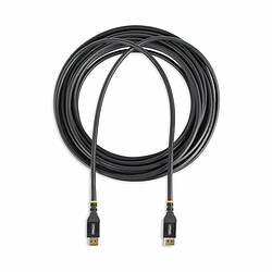 Câble DisplayPort Startech DP14A-10M-DP-CABLE Noir 10 m