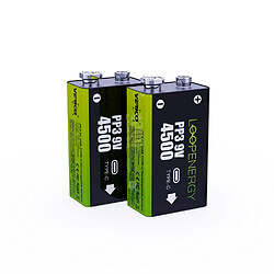 Acheter Verico Loop Energy 2-Pack 9V Block-Akku Li-Ion 500 mAh